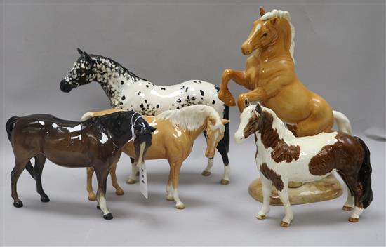 A collection of Beswick Horses. Welsh Cob Palomino 1014. Mare Palomino 1812, Brown Mare 1812, Appaloosa Stallion Black & White (a) 1772